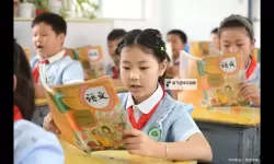 在班里插了语文课代表：责任与担当的成长故事