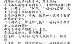 元浅秦深小说免费全文在线阅读指南及最新章节更新