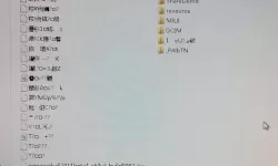 揭秘中欧乱码卡一卡2卡三：技术背后的秘密与挑战