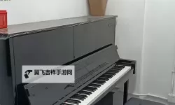 探索音乐梦想的舞台：中国钢琴网全面解析