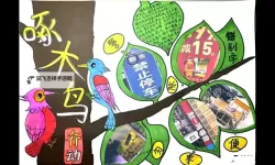 守护森林生态：启示未来的啄木鸟行动