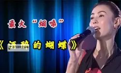 迷离梦境：张柏芝酒醉的蝴蝶在夜空舞动