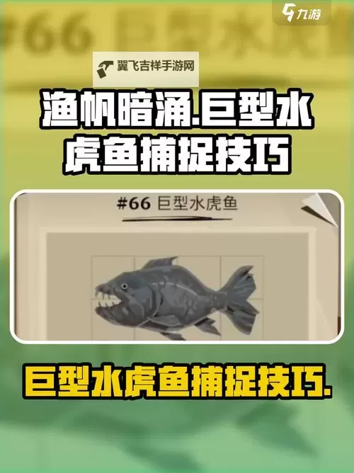 《渔帆暗涌》全鱼类图鉴图1