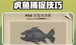 《渔帆暗涌》全鱼类图鉴