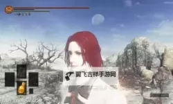 《黑暗之魂3》红发美女详细捏脸数据