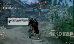 《浪人崛起》神隐支线任务攻略 神隐支线怎么做