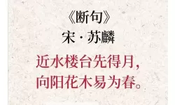 左岸春风今日一语断蓝：懂得在细节中品味春日的温柔