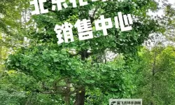 玖草在线：开启绿色阅读新体验