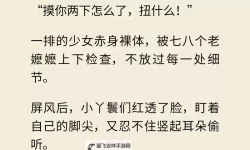 最刺激的乱子伦小说：引爆心跳的极限体验