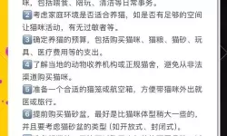 《超喵星计划》新手注意事项  《超喵星计划》养猫新手攻略