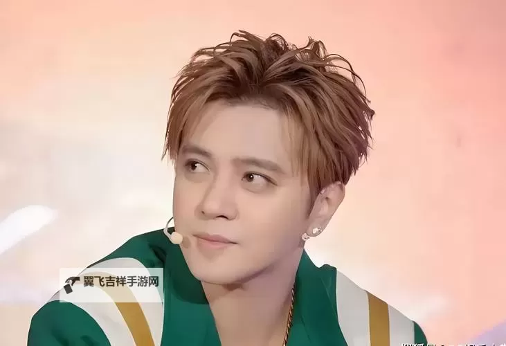 揭秘综艺大热门罗志祥的精彩瞬间与魅力全纪录图1