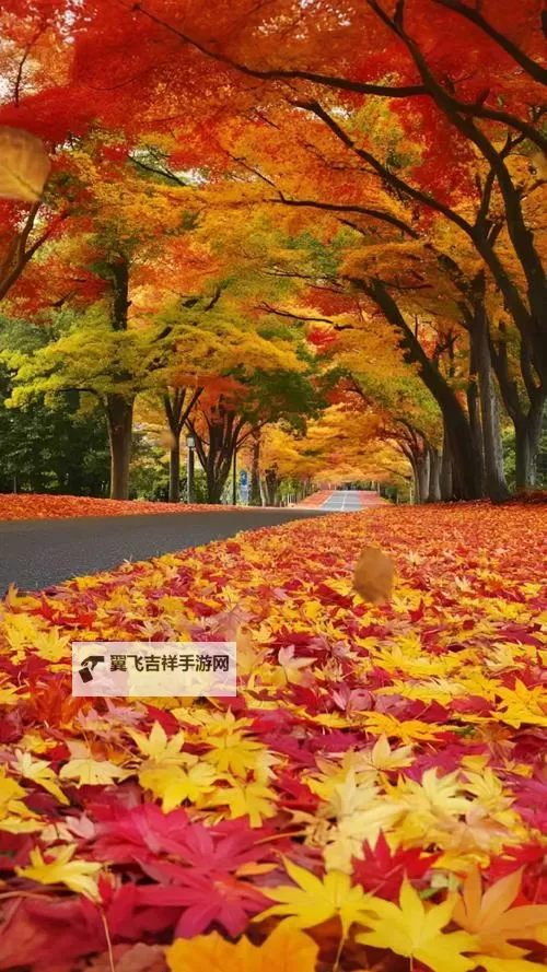 探索全新娱乐体验：X8X8拨牐拨牐X8免费视频8文字全解析图2