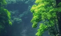 天天色天天操心：烦恼缠身的日常点滴