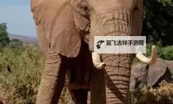 水莓100在线永久防免费视频：完整观看指南与最新资源推荐