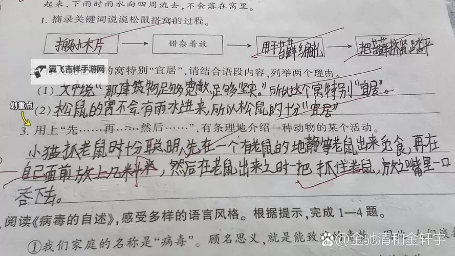 做错一题进去一次C过程:学习成长的关键转折图1