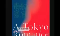 日本东京加勒比热一本：探索东京的独特魅力与热情文化