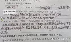 做错一题进去一次C过程：学习成长的关键转折