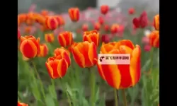 中超风云2双开挂机软件推荐  怎么双开中超风云2详细图文教程