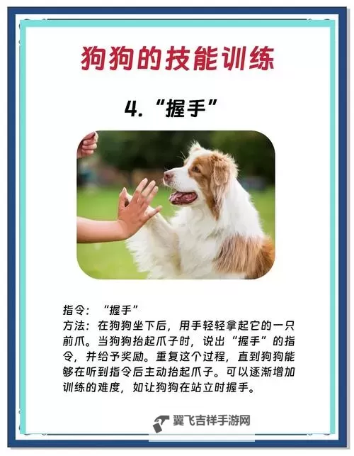 如何简单有效地让狗狗进入自己的房间门图1