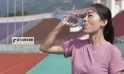 中国人免费高清视频：全网最佳高清资源推荐