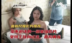 探索获取免费三圾片的途径与风险分析