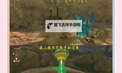 《塞尔达传说王国之泪》大妖精之泉任务攻略