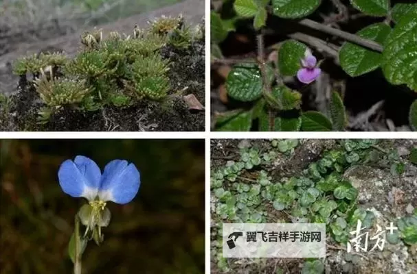 野外国产一级：探索自然的纯粹与极致魅力图1
