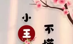 探索羞羞漫画性王：带你领略极致漫画世界