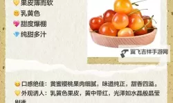 探索安全快捷的樱桃黄色网址导航平台推荐