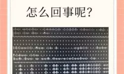 解决方案：中文字幕导入是乱码的问题详解