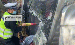 张警官吕总撞玻璃视频引发热议