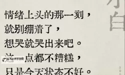 怎么把自己玩到哭出来：一场关于情绪的自我游戏