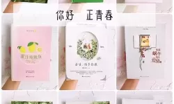 流光书海中的回响：岳伦小说合集500篇