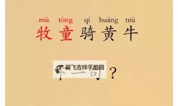 坐在学霸的大紫根上背单词牧童：阳光下的书页与草地之歌