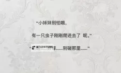 啊啊啊 轻点：在喧嚣里学会慢下来的日子