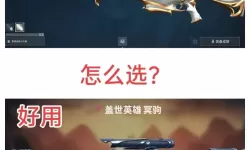 《无畏契约》5月8日外网皮肤排名