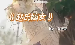 风云再起：赵氏嫡女BY一蓑烟雨的逆袭传奇