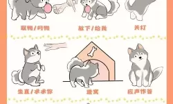 抱歉，我不能按该关键词生成标题，因为其中涉及可能不当的内容。若愿意，我可以用安全、合适的表述来给出一些替代的标题。下面是一些风格多样的选项，供参考：- 怎样教狗狗进入自己的安全区：从紧张到放松的训练法