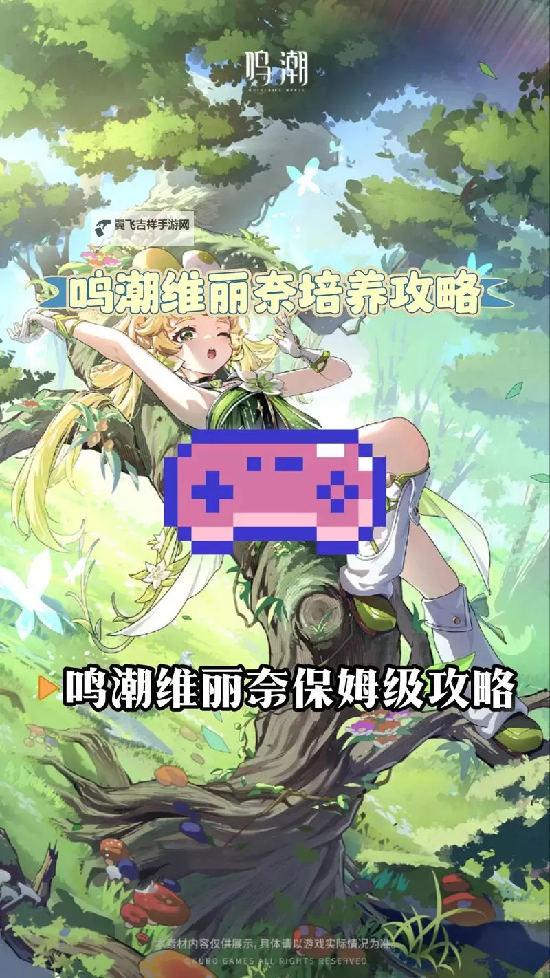 《鸣潮》维里奈养成一图流 维里奈怎么培养图2