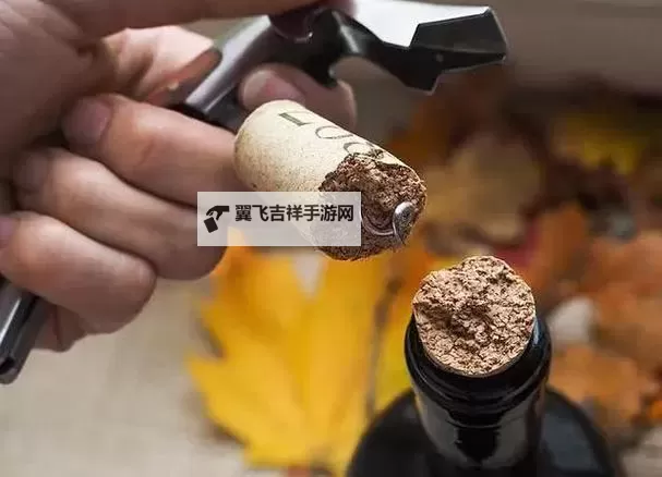 用红酒瓶塞堵住不能留下来：夜色中的证据与悔恨图1