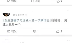 坐在紫到发黑的巨龙上写作业的夜晚：青春、龙影与未完成的作业