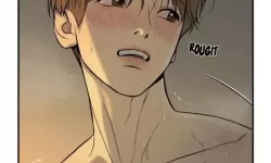 风起书海：魔咒漫画免费看背后的版权伦理