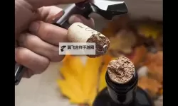 用红酒瓶塞堵住不能留下来：夜色中的证据与悔恨