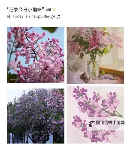 五月丁香深爱:花海中的夏日誓言图1