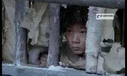 智取威虎山小栓子：雪夜里的勇气与智慧