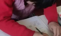 青春微光：坐在学长的紫根上写作业视频，记录校园的温柔成长